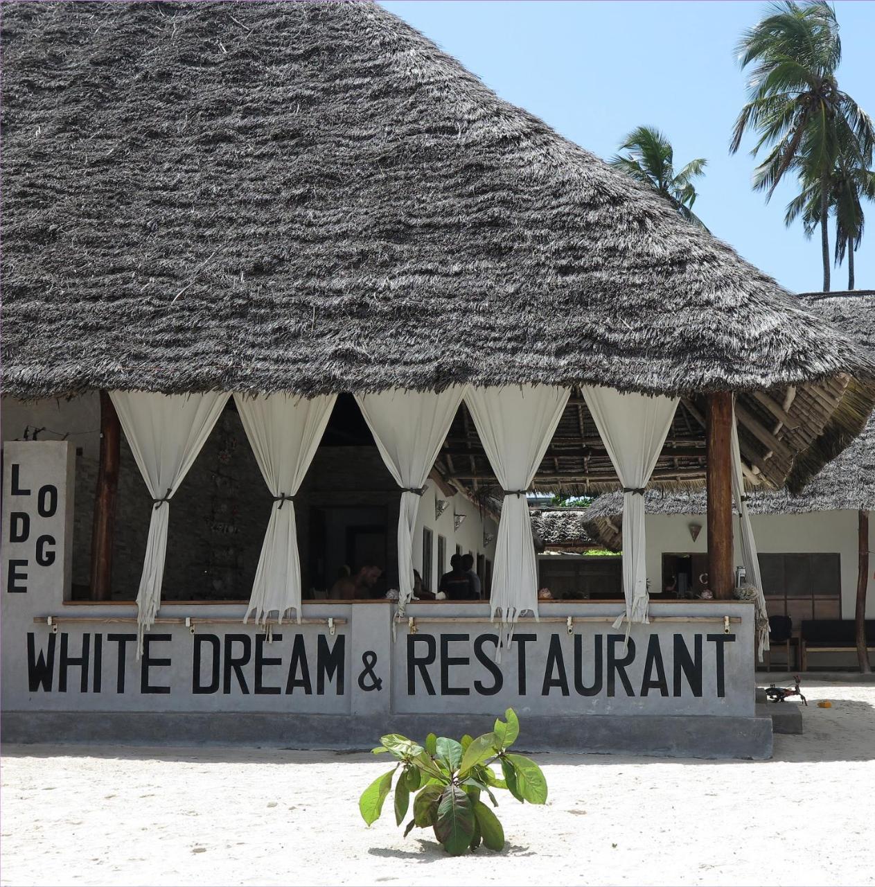 White Dream Bed and Breakfast Kiwengwa  Exteriör bild